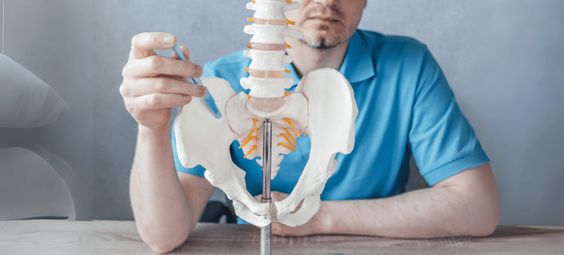 Articulation sacro-iliaque mal de dos coussin orthopédique coussin orthopedique Levalor coussin lombaire coussin coccyx