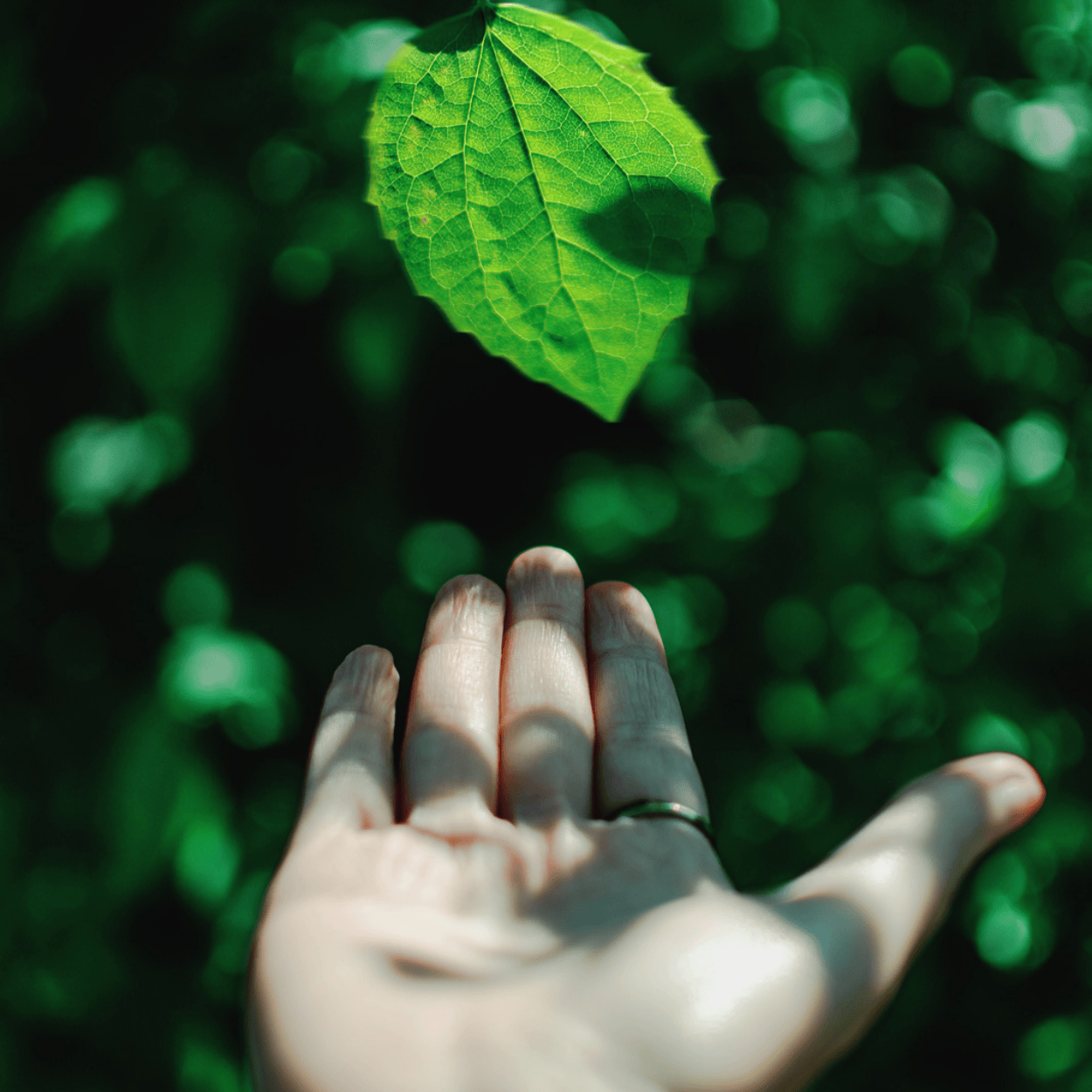 Les engagements Levalor coussin orthopedique