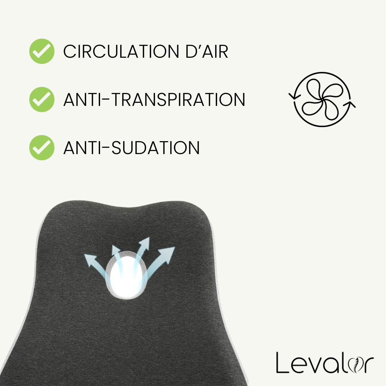 qualité du coussin ergonomique soutient lombaire levalor
