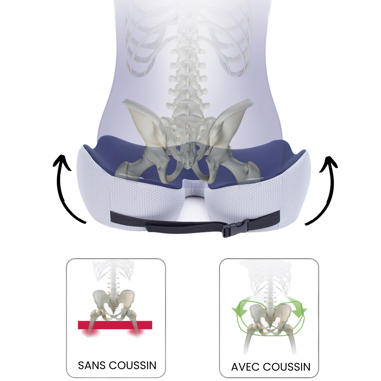Levalor coussin orthopédique coussin orthopédique fessier coussin orthopedique coussin orthopédique genou coussin orthopédique dos coussin de siege orthopédique coussin orthopédique lombaire coussin orthopédique coccyx coussin orthopédique cervical coussin orthopédique genoux coussin d'assise orthopédique kyste pilonidal coussin orthopédique pharmacie coussin a mémoire de forme orthopédique