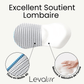 coussin orthopédique de soutient lombaire douleur dos coccyx