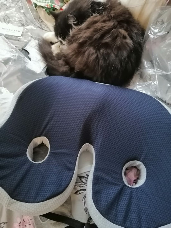 Levalor coussin orthopédique coussin orthopédique fessier coussin orthopedique coussin orthopédique genou coussin orthopédique dos coussin de siege orthopédique coussin orthopédique lombaire coussin orthopédique coccyx coussin orthopédique cervical coussin orthopédique genoux coussin d'assise orthopédique kyste pilonidal coussin orthopédique pharmacie coussin a mémoire de forme orthopédique