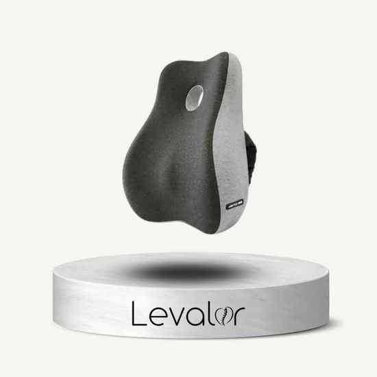 coussin ergonomique Levalor  qui offre un soutien lombaire optimal , idéal pour dos, lombaires et coccyx. Parfait pour voiture, le bureau ou la maison