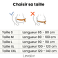 Guide des tailles de la ceinture lombaire sciatique