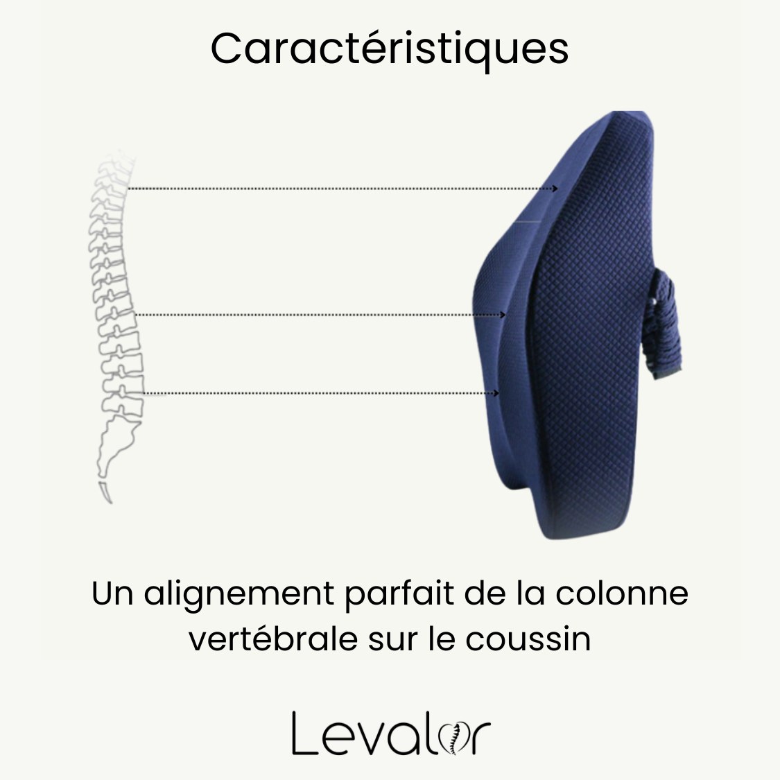 Levalor coussin orthopédique coussin orthopédique fessier coussin orthopedique coussin orthopédique genou coussin orthopédique dos coussin de siege orthopédique coussin orthopédique lombaire coussin orthopédique coccyx coussin orthopédique cervical coussin orthopédique genoux coussin d'assise orthopédique kyste pilonidal coussin orthopédique pharmacie coussin a mémoire de forme orthopédique